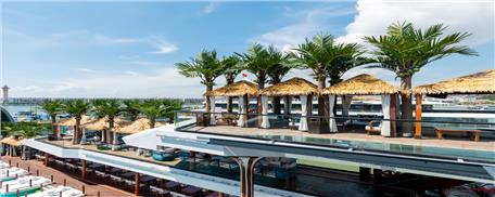 Tour Hạ Long trên du thuyền Dolphin